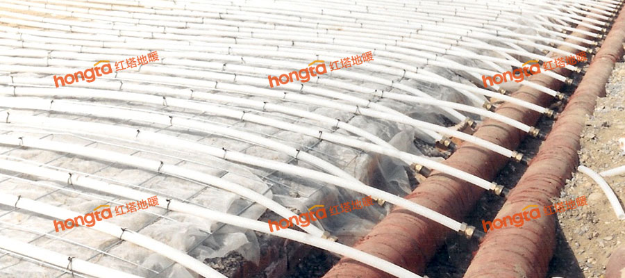 �����t����ů