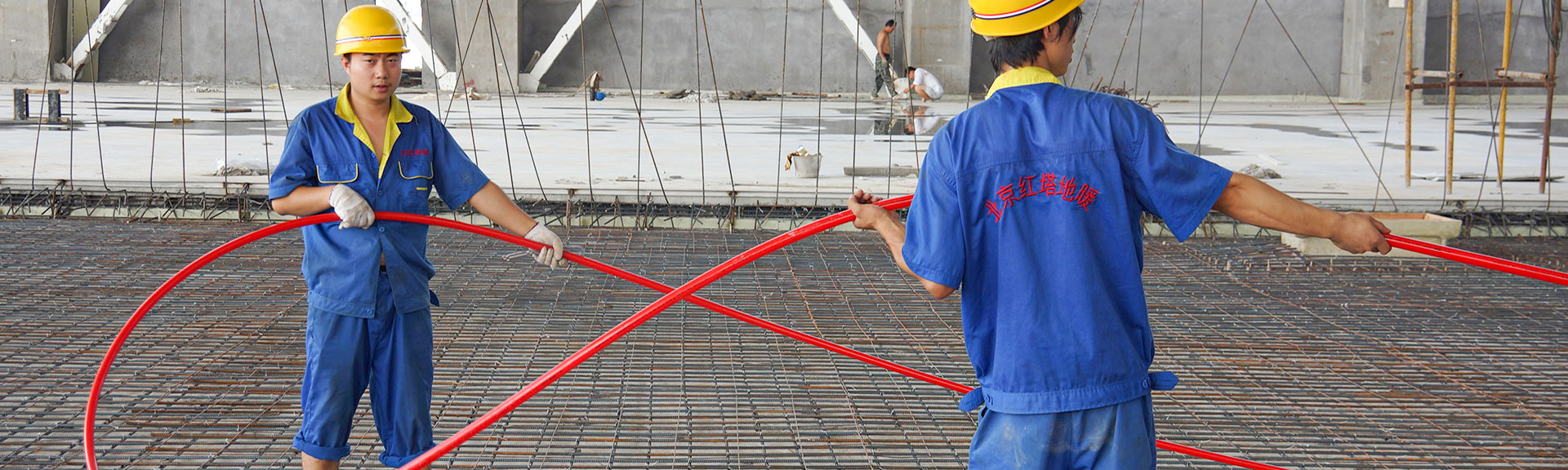 �����t����ů